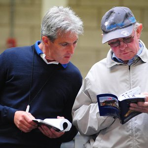 Nursery of champions: the remarkable success of Camas Park Stud  Topics: Tim Hyde, Tim Hyde Jr 